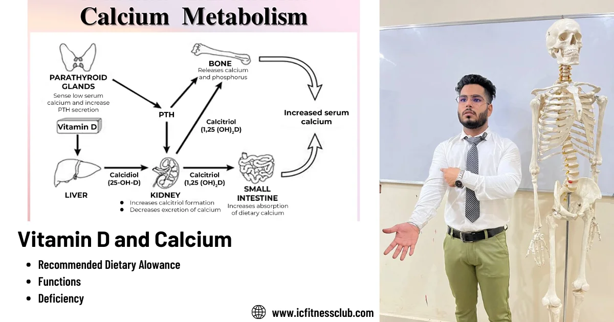 Calcium and Vitamin D Metabolism