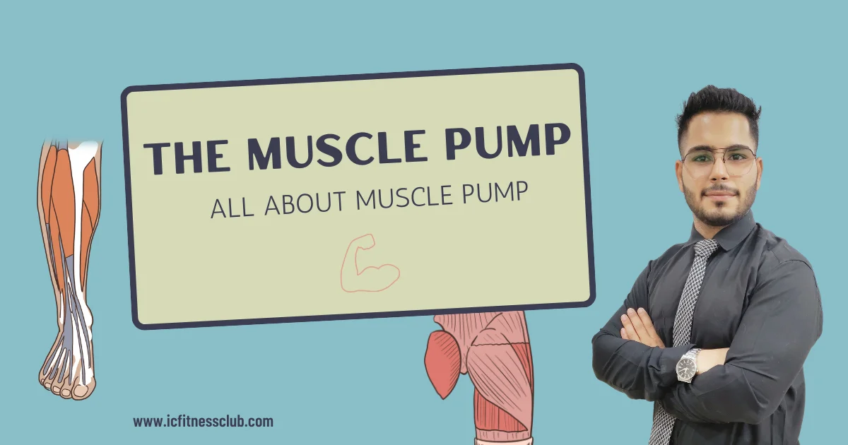 All About Muscle Pump