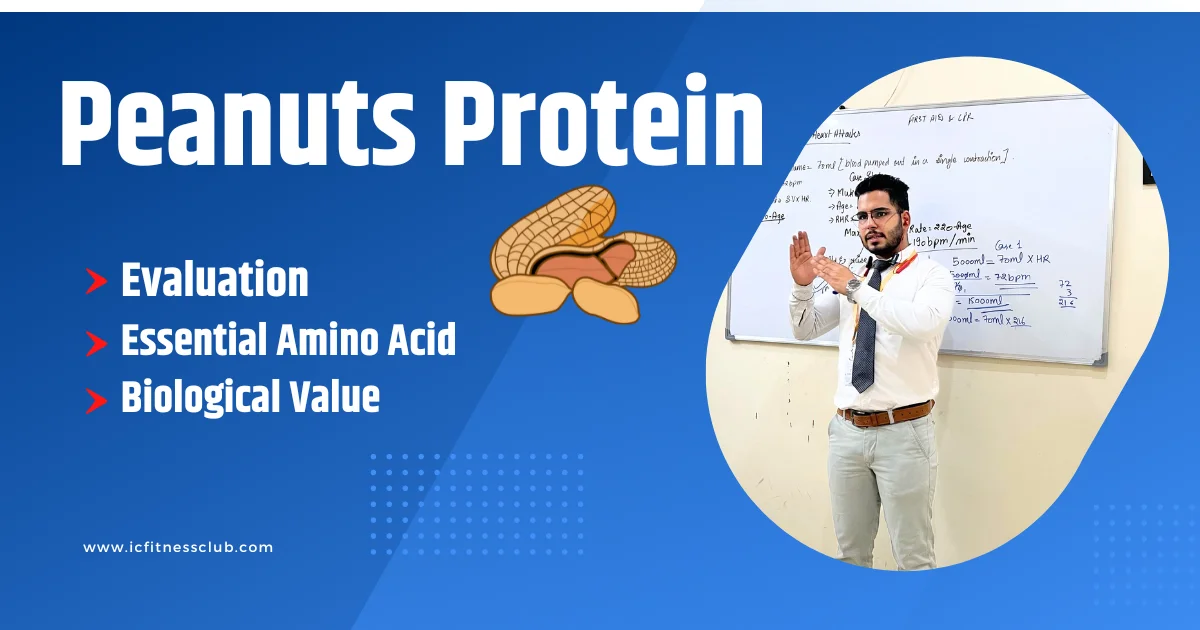 Protein in Peanuts - Evaluation