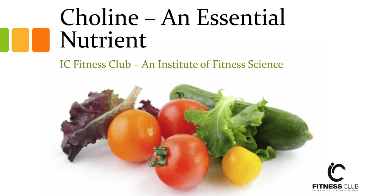 Choline - An essential nutrient! - IC Fitness Club