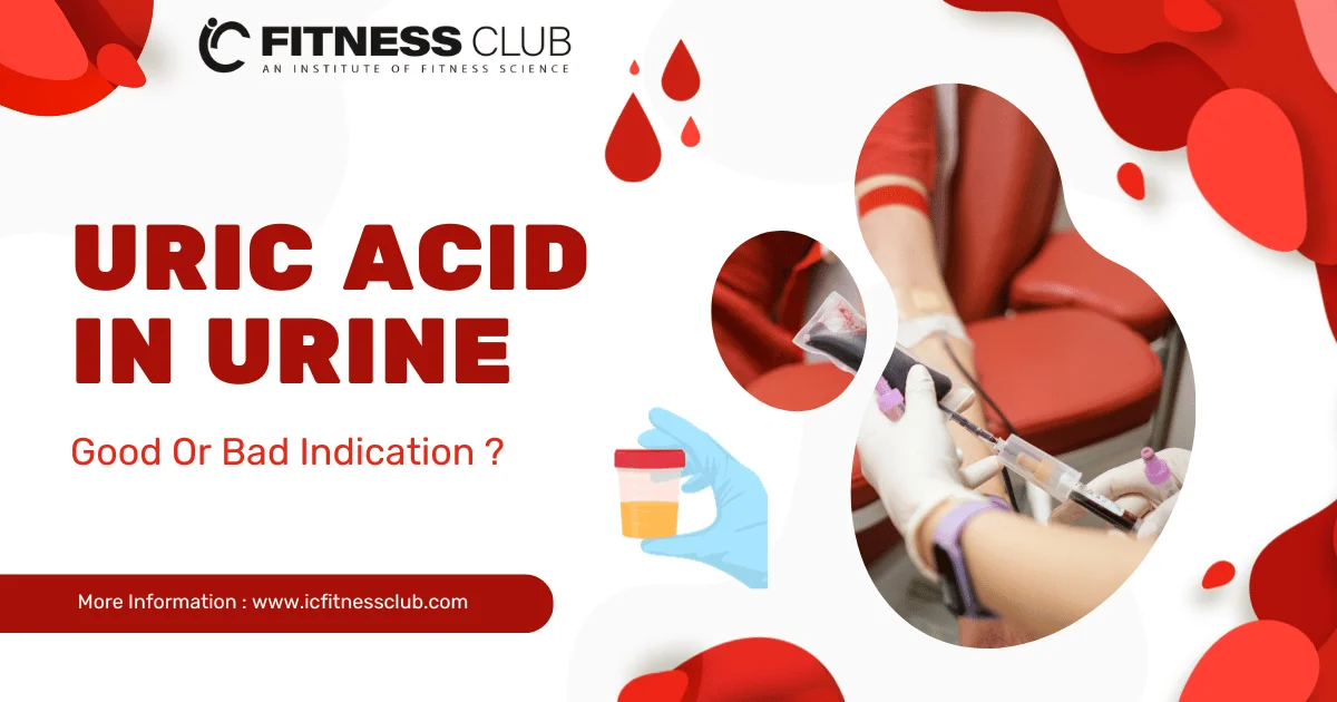 Uric Acid in Blood, good or bad? - IC Fitness Club